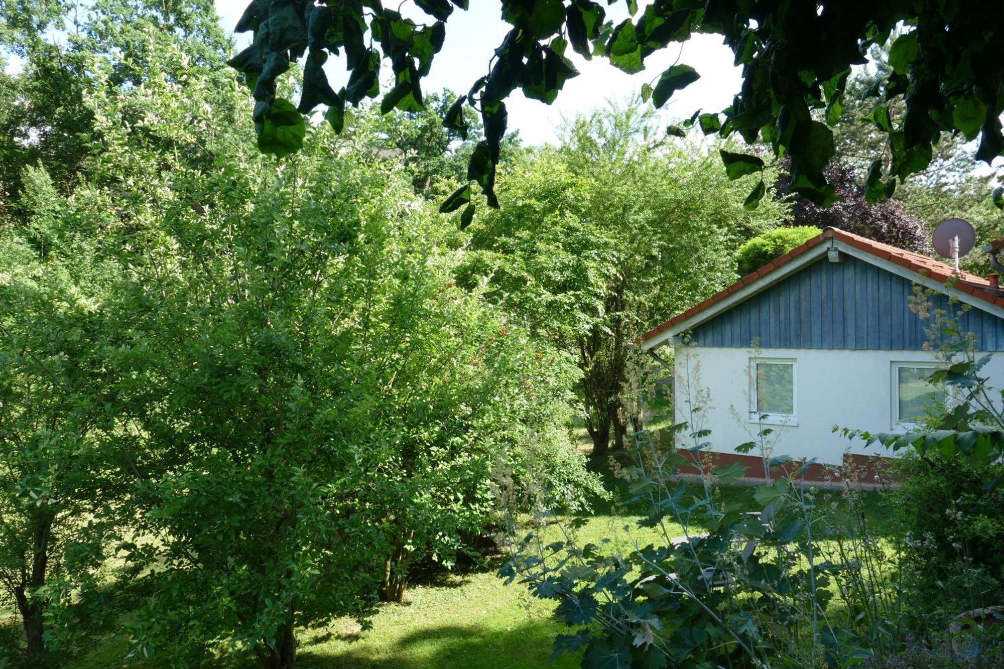 Landleben - Ferienhaus 2 Fritzlar Exterior photo